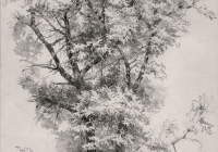 5. Моргун Екатерина. Рисунок дерева. 4 кл. Преподаватель Колесников В.Г. 1997г.