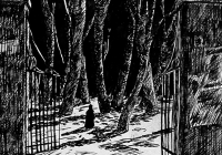 37.Горшкова Вика. Луна. 14 лет 3кл преподаватель Колесников В.Г. 1989г