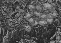 4. Пермякова Ксения. «Барышня – крестьянка» фрагмент. 16 лет 4кл преподаватель Колесников В.Г. 1997 г