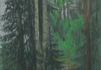 Щербакова Татьяна. Ветлуга